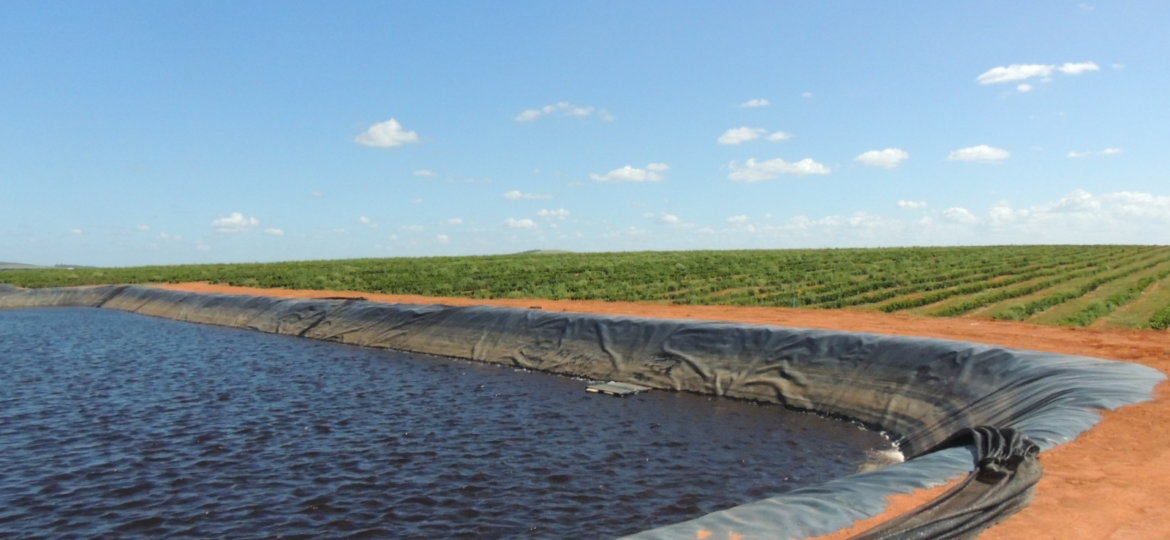 Irrigação_hydra irrigações
